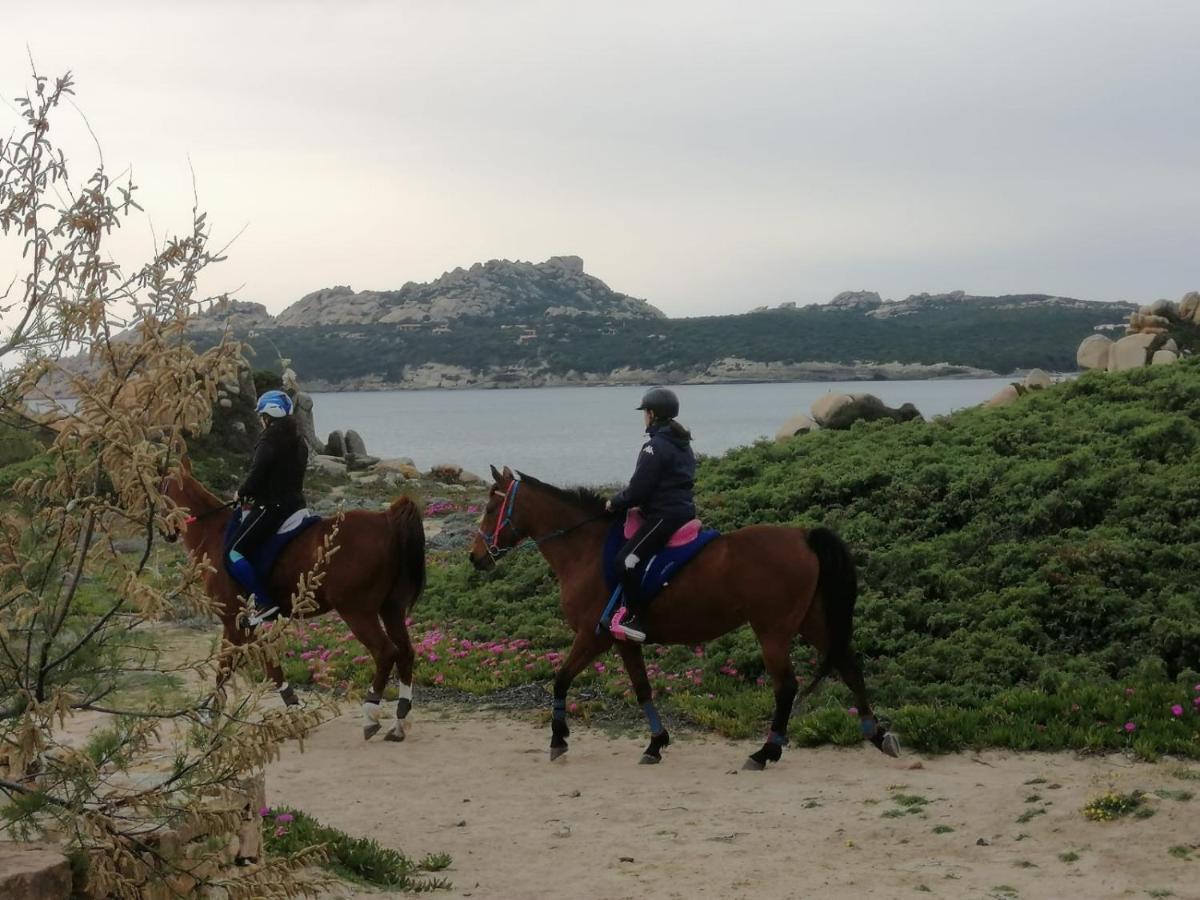 Casa Baia Santa Reparata - Santa Teresa di Gallura IUN Q1712 Esterno foto